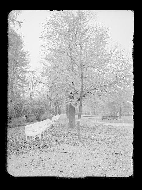 Vigelandsparken